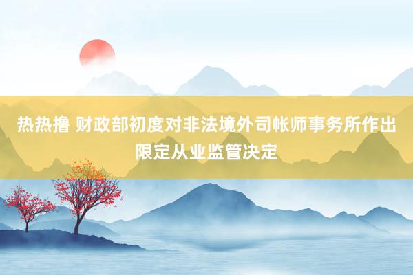 热热撸 财政部初度对非法境外司帐师事务所作出限定从业监管决定