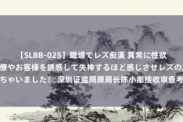 【SLBB-025】職場でレズ痴漢 異常に性欲の強い私（真性レズ）同僚やお客様を誘惑して失神するほど感じさせレズの虜にしちゃいました！ 深圳证监局原局长陈小澎接收审查考查，曾在多地证监局任要紧职位