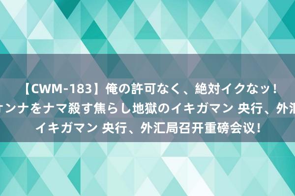 【CWM-183】俺の許可なく、絶対イクなッ！！！！！ 2 早漏オンナをナマ殺す焦らし地獄のイキガマン 央行、外汇局召开重磅会议！