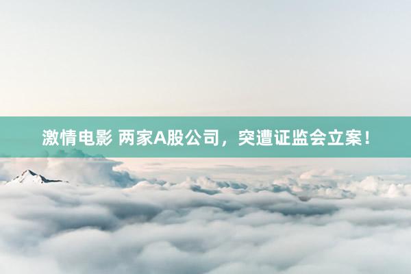 激情电影 两家A股公司，突遭证监会立案！