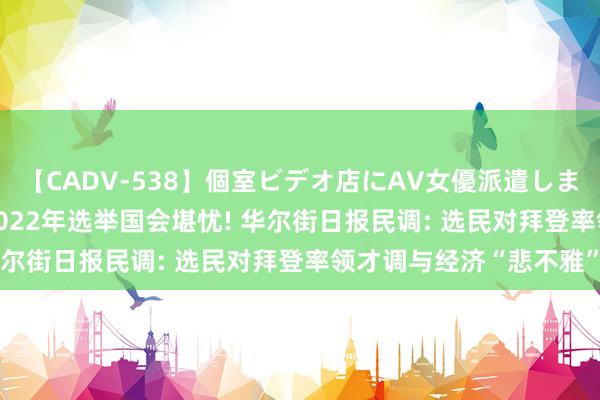 【CADV-538】個室ビデオ店にAV女優派遣します。8時間DX 民主党2022年选举国会堪忧! 华尔街日报民调: 选民对拜登率领才调与经济“悲不雅”