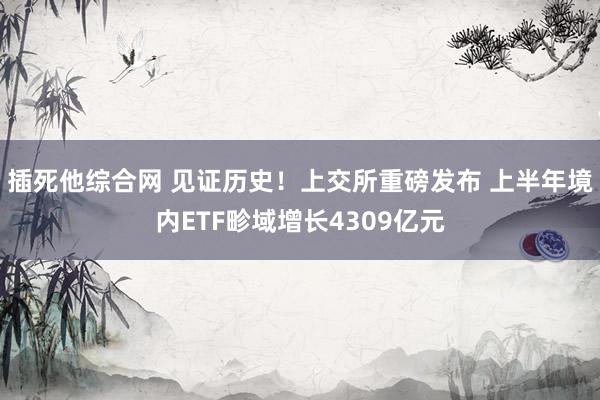 插死他综合网 见证历史！上交所重磅发布 上半年境内ETF畛域增长4309亿元