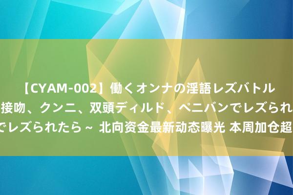 【CYAM-002】働くオンナの淫語レズバトル 2 ～もしも職場で濃厚接吻、クンニ、双頭ディルド、ペニバンでレズられたら～ 北向资金最新动态曝光 本周加仓超3亿个股名单来了