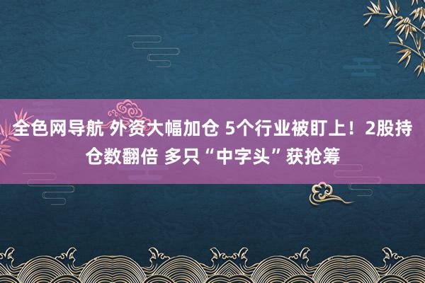 全色网导航 外资大幅加仓 5个行业被盯上！2股持仓数翻倍 多只“中字头”获抢筹