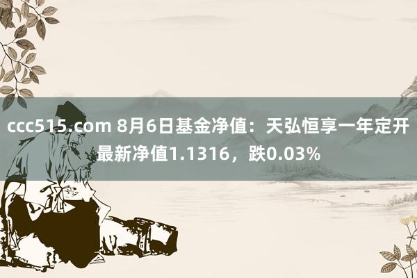 ccc515.com 8月6日基金净值：天弘恒享一年定开最新净值1.1316，跌0.03%