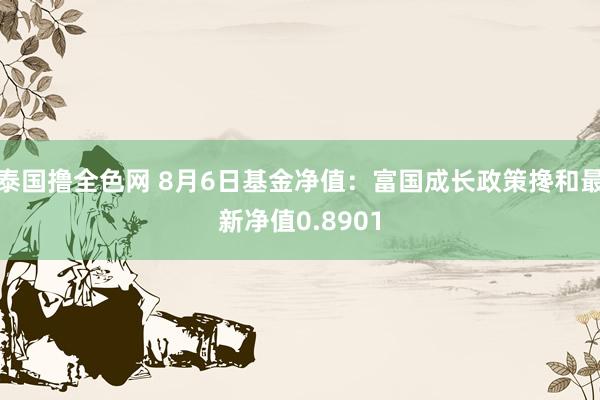 泰国撸全色网 8月6日基金净值：富国成长政策搀和最新净值0.8901