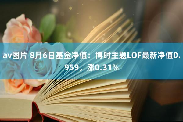 av图片 8月6日基金净值：博时主题LOF最新净值0.959，涨0.31%