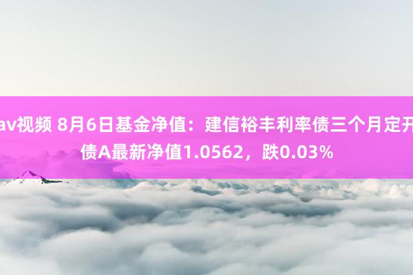 av视频 8月6日基金净值：建信裕丰利率债三个月定开债A最新净值1.0562，跌0.03%