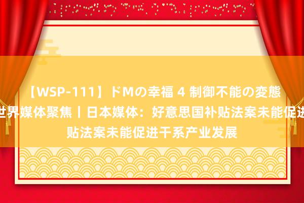 【WSP-111】ドMの幸福 4 制御不能の変態ボディ4時間 世界媒体聚焦丨日本媒体：好意思国补贴法案未能促进干系产业发展