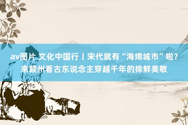 av图片 文化中国行丨宋代就有“海绵城市”啦？来赣州看古东说念主穿越千年的排鲜美敏