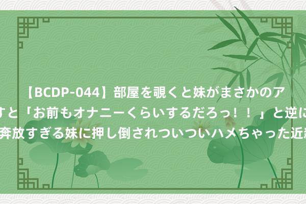 【BCDP-044】部屋を覗くと妹がまさかのアナルオナニー。問いただすと「お前もオナニーくらいするだろっ！！」と逆に襲われたボク…。性に奔放すぎる妹に押し倒されついついハメちゃった近親性交12編 高庆一亮相《专精特新接洽院》，并受邀出席2024搜狐科技年度论坛