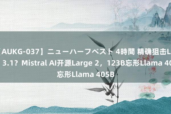 【AUKG-037】ニューハーフベスト 4時間 精确狙击Llama 3.1？Mistral AI开源Large 2，123B忘形Llama 405B