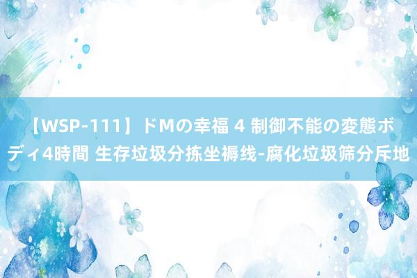 【WSP-111】ドMの幸福 4 制御不能の変態ボディ4時間 生存垃圾分拣坐褥线-腐化垃圾筛分斥地