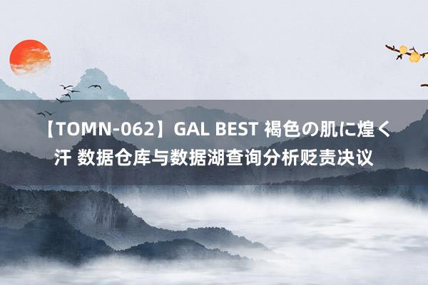 【TOMN-062】GAL BEST 褐色の肌に煌く汗 数据仓库与数据湖查询分析贬责决议