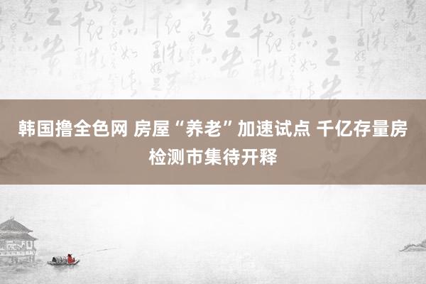 韩国撸全色网 房屋“养老”加速试点 千亿存量房检测市集待开释