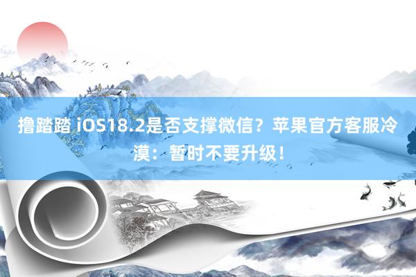 撸踏踏 iOS18.2是否支撑微信？苹果官方客服冷漠：暂时不要升级！