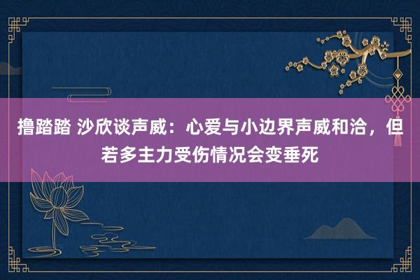 撸踏踏 沙欣谈声威：心爱与小边界声威和洽，但若多主力受伤情况会变垂死