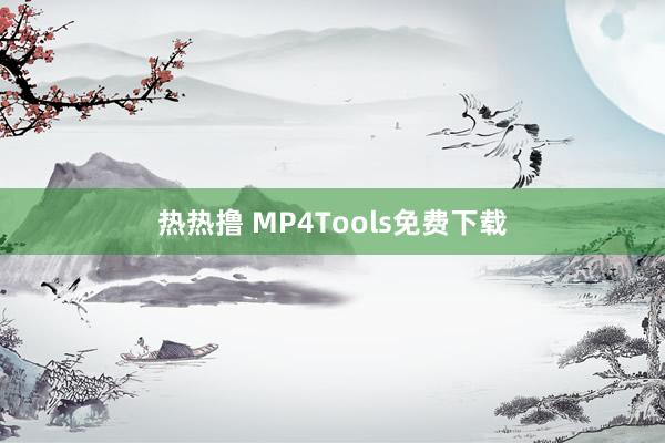 热热撸 MP4Tools免费下载