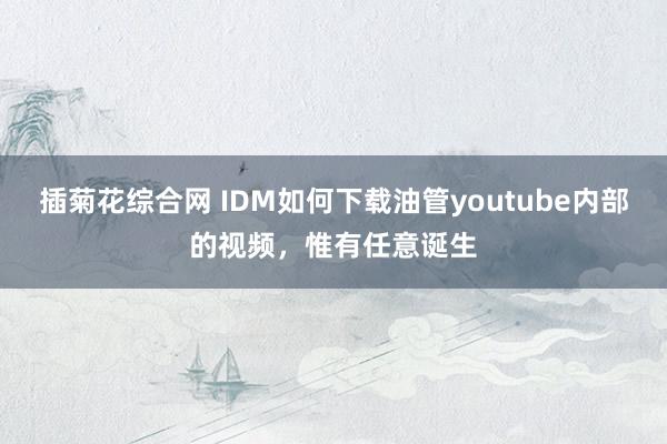 插菊花综合网 IDM如何下载油管youtube内部的视频，惟有任意诞生