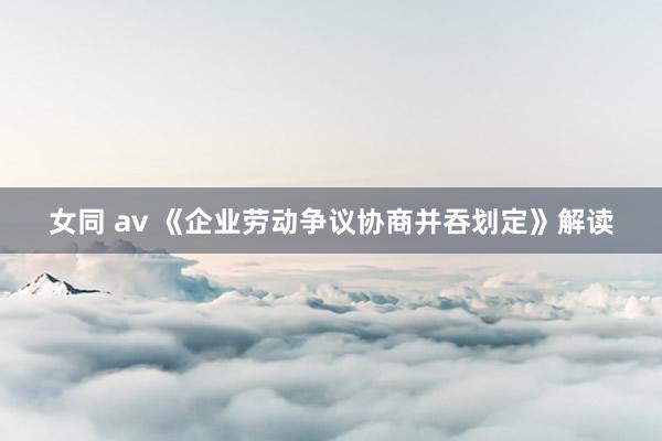 女同 av 《企业劳动争议协商并吞划定》解读