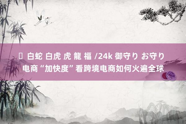 ✨白蛇 白虎 虎 龍 福 /24k 御守り お守り 电商“加快度”看跨境电商如何火遍全球